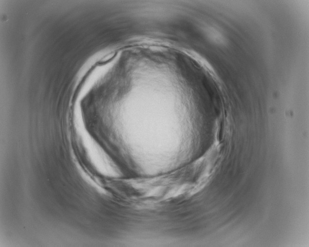 X0000081431247200701261815