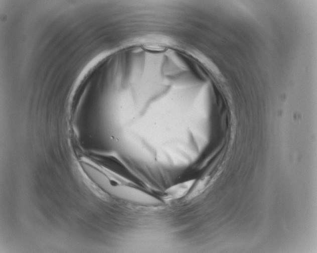 X0000081431248200701261815