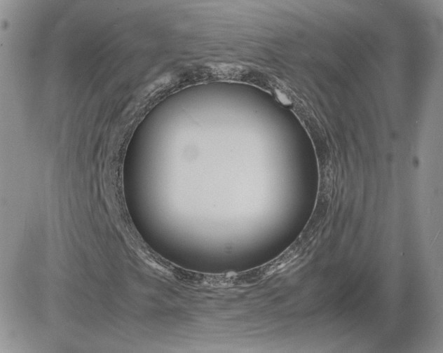 X0000081431249200701261814