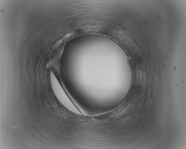 X0000081431250200701261814