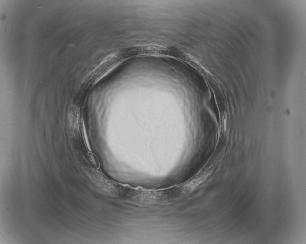 X0000081431251200701261814