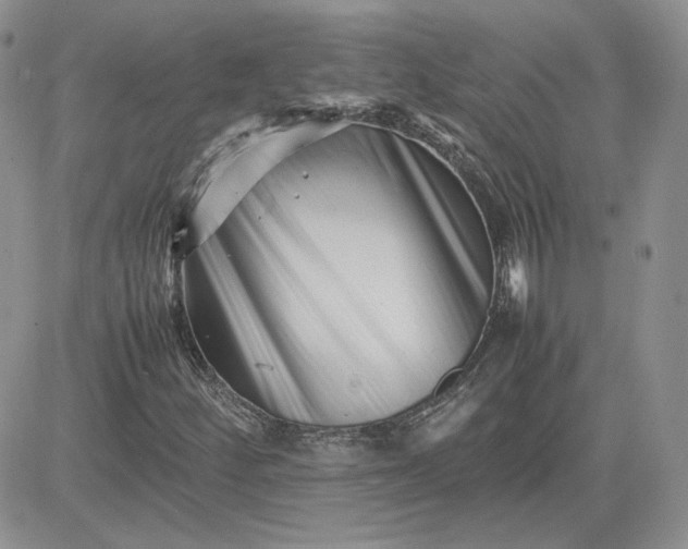 X0000081431252200701261814