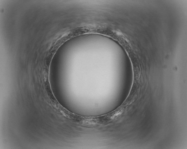 X0000081431253200701261814