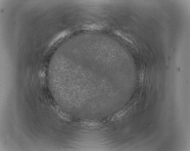 X0000081431254200701261814