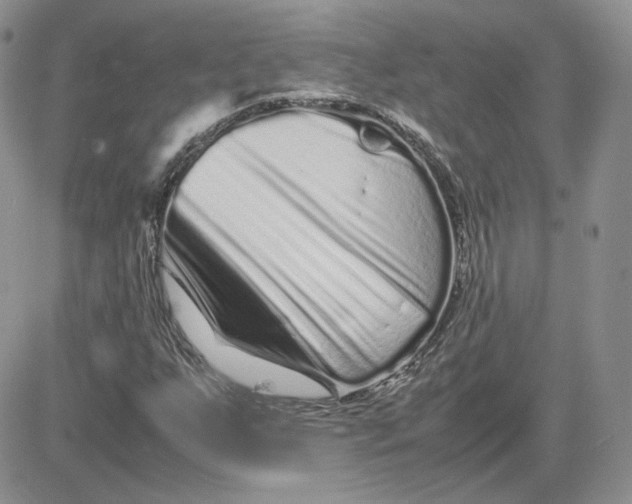 X0000081431255200701261814