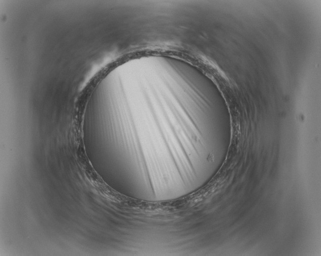 X0000081431256200701261814