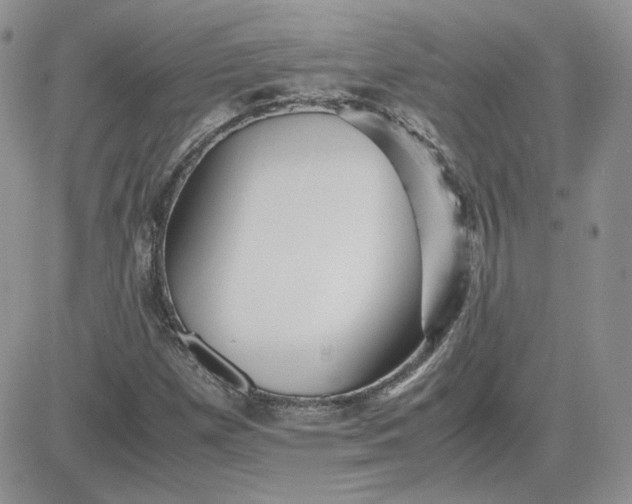 X0000081431257200701261814