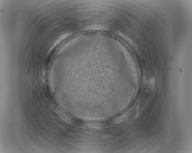 X0000081431258200701261814