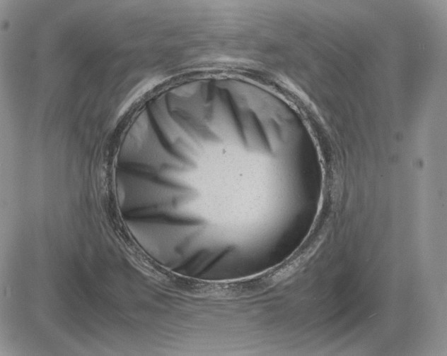 X0000081431259200701261814