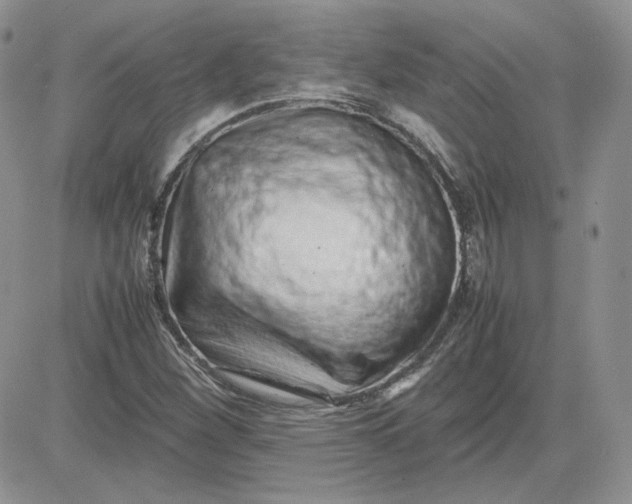 X0000081431260200701261814