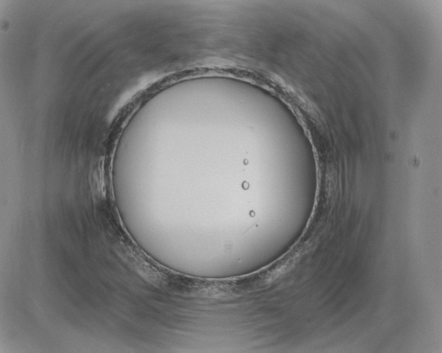 X0000081431262200701261814