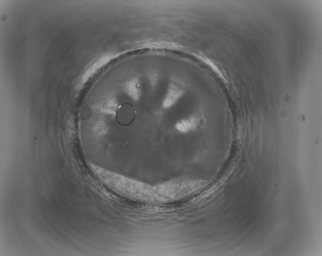 X0000081431263200701261814