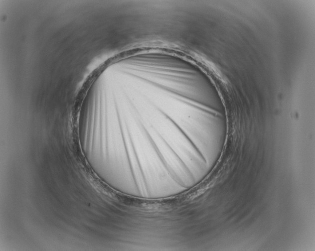 X0000081431264200701261814