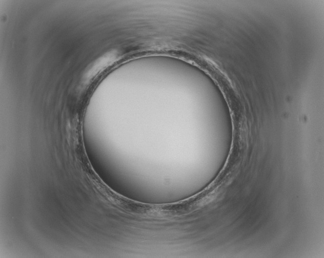 X0000081431265200701261814