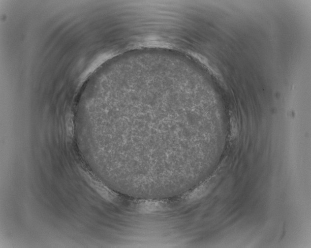 X0000081431266200701261814