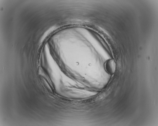 X0000081431267200701261813