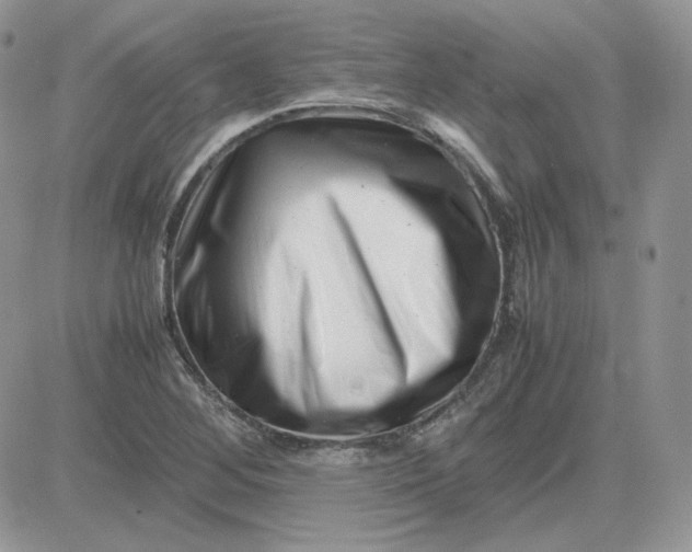 X0000081431268200701261813