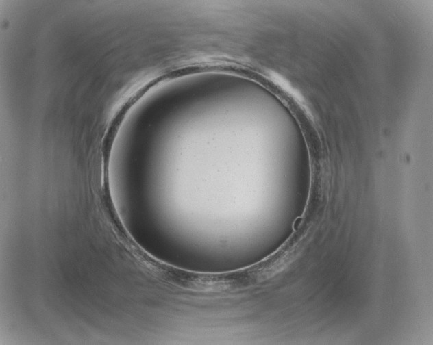 X0000081431269200701261813