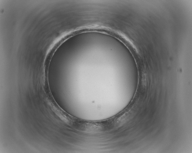 X0000081431270200701261813