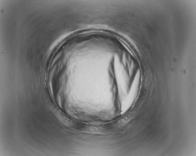 X0000081431271200701261813