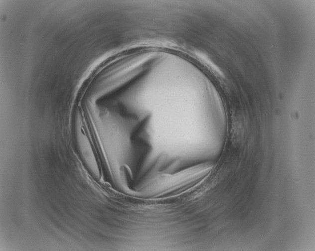 X0000081431272200701261813