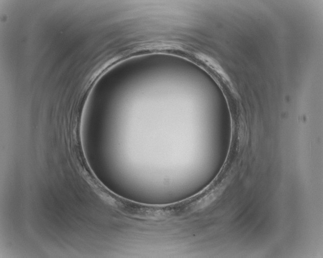 X0000081431273200701261813