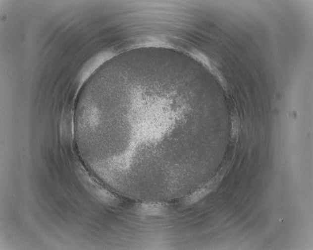 X0000081431274200701261813