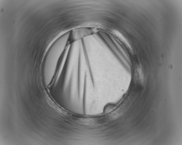 X0000081431276200701261813