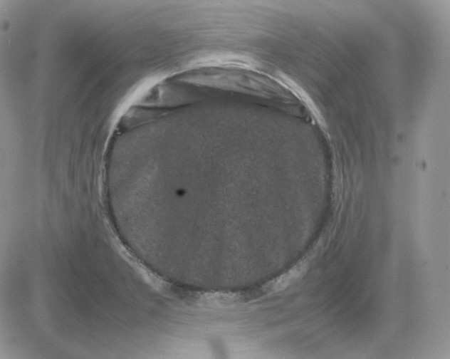 X0000081431277200701261813