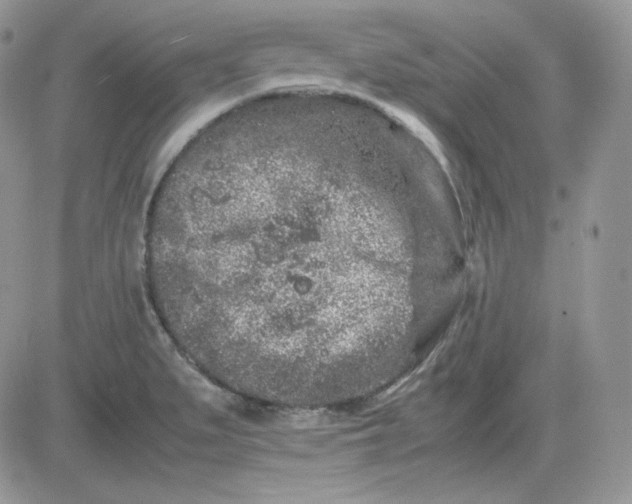 X0000081431279200701261813