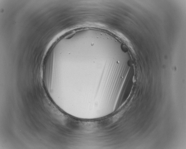 X0000081431280200701261813