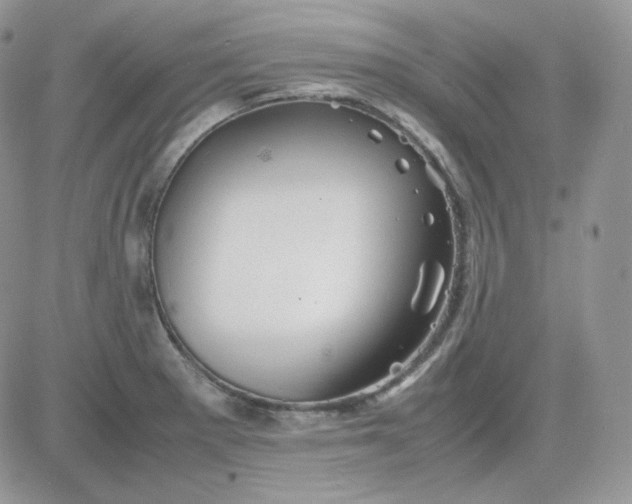 X0000081431281200701261813