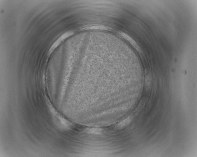 X0000081431282200701261813