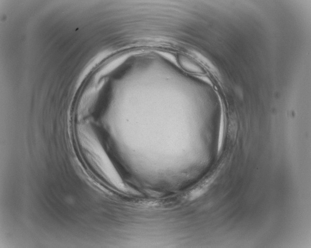 X0000081431283200701261813