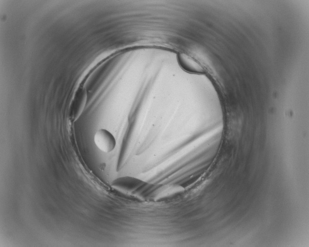 X0000081431284200701261813