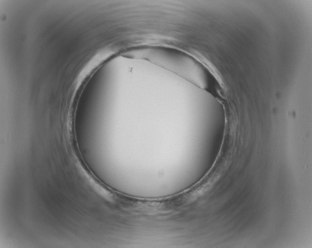 X0000081431285200701261813