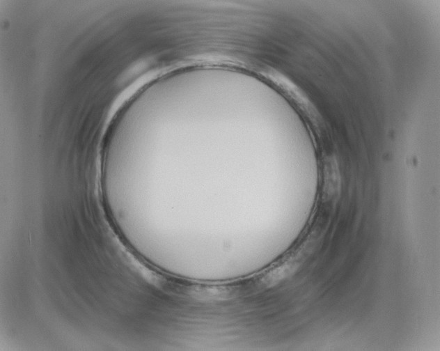 X0000081431286200701261813