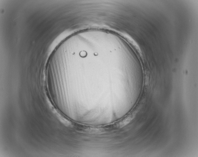 X0000081431287200701261813