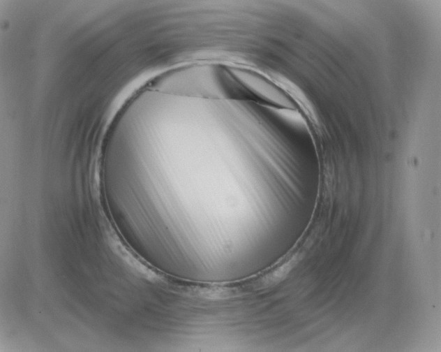 X0000081431288200701261813