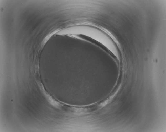 X0000081431289200701261813