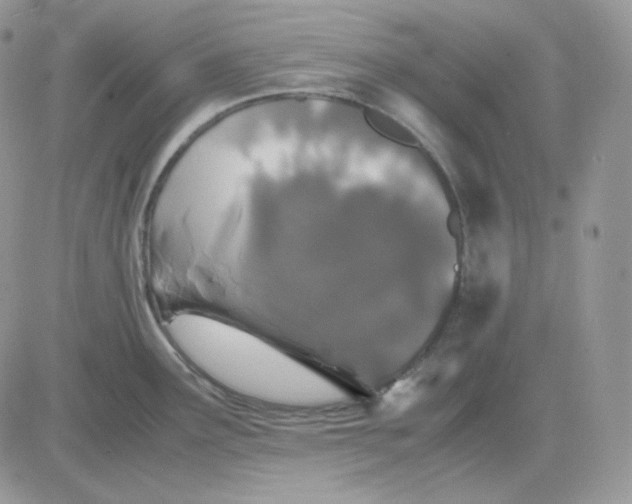 X0000081431291200701261813