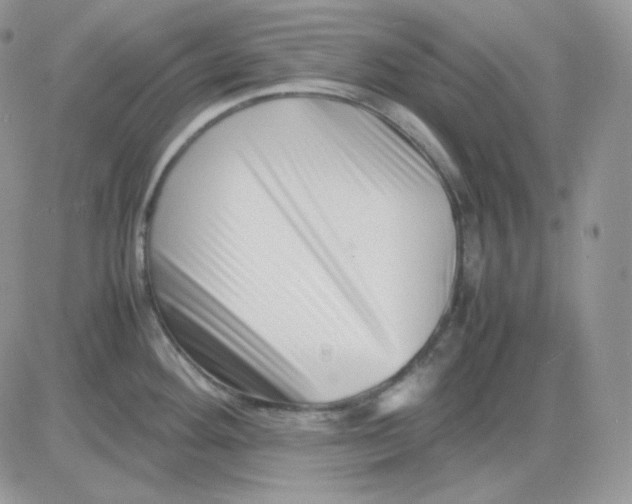 X0000081431292200701261813