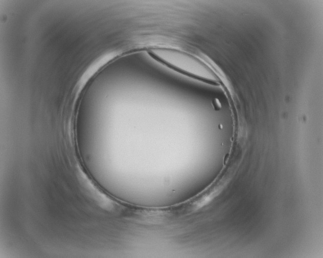 X0000081431293200701261813