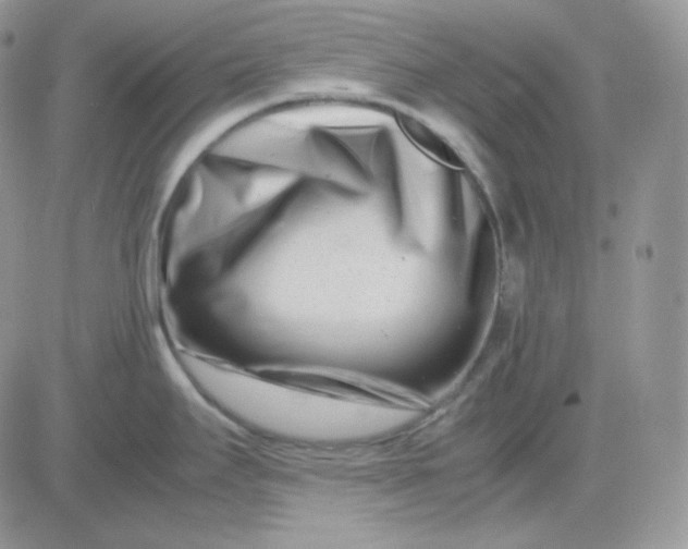 X0000081431295200701261813