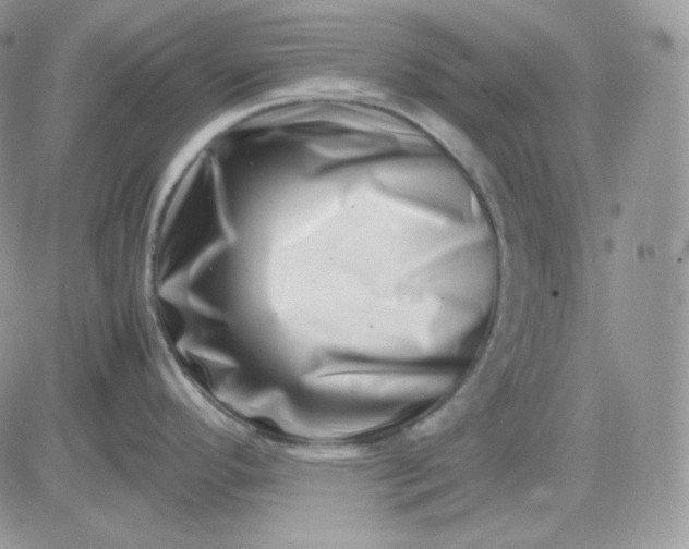 X0000081431296200701261813