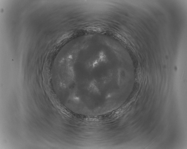 X0000081431297200701261812