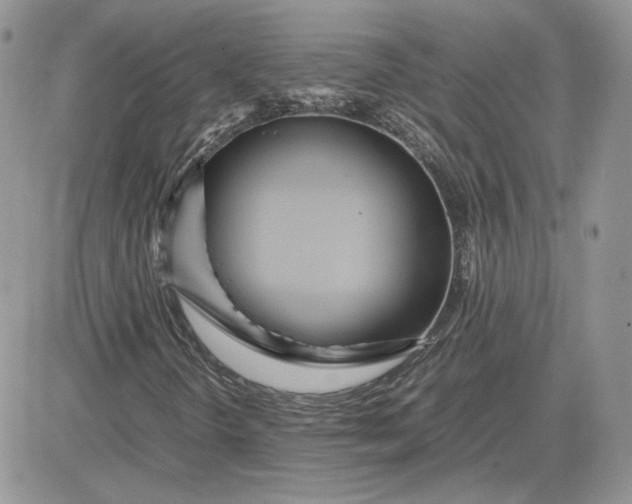 X0000081431298200701261812