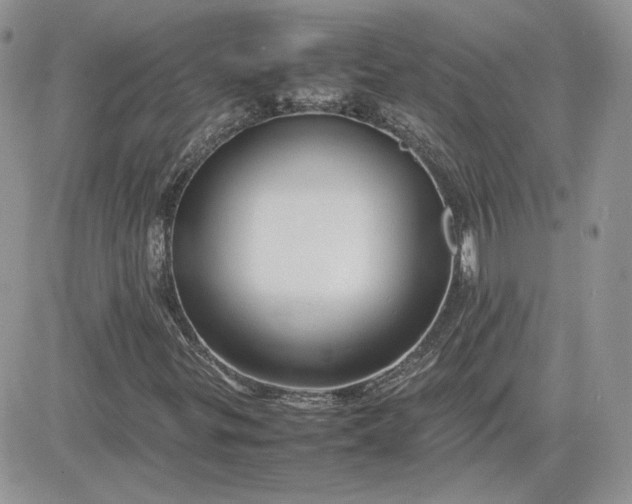 X0000081431299200701261812