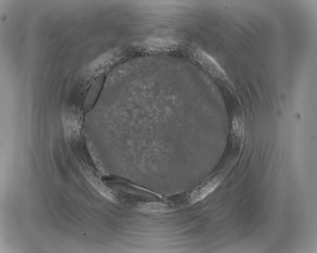 X0000081431300200701261812