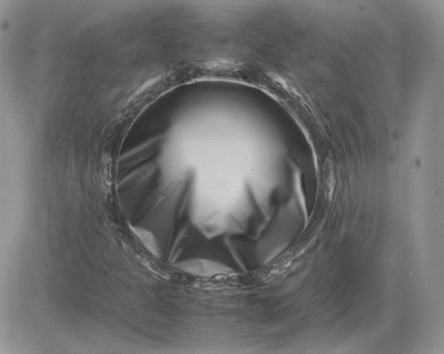 X0000081431301200701261812